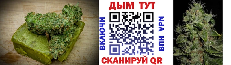где найти   Давлеканово  Canna-Cookies конопля 