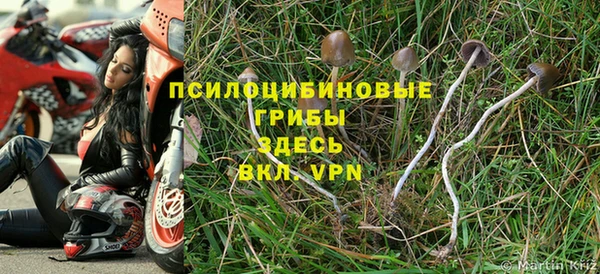 бошки Баксан