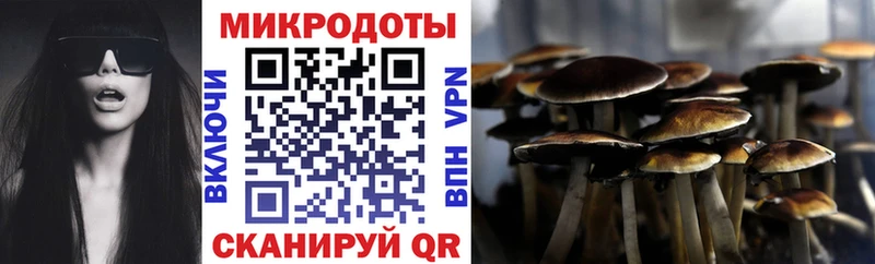 Галлюциногенные грибы Psilocybine cubensis Давлеканово